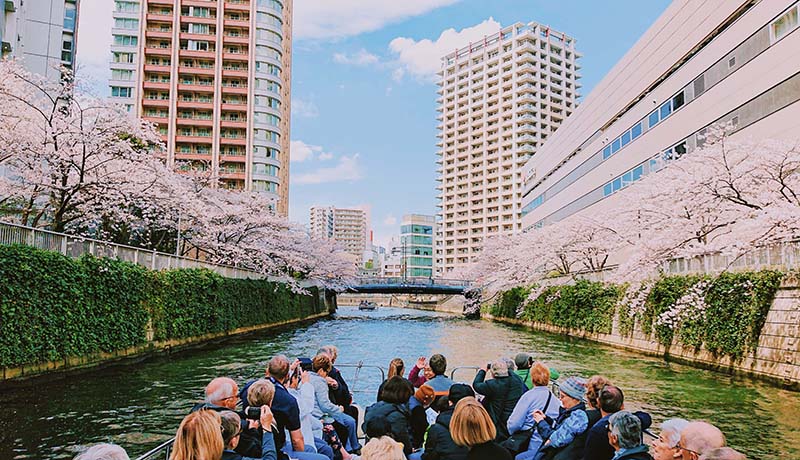 【天王洲ピア】ウォーターウェイズ 他選べるランチ&桜のトンネル:目黒川観桜クルーズ