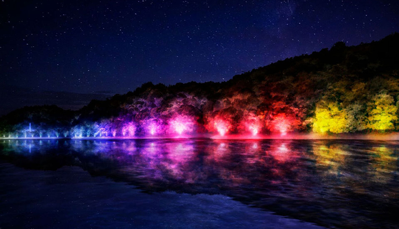 チームラボ 森と湖の光の祭