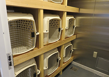 ペットルームイメージ